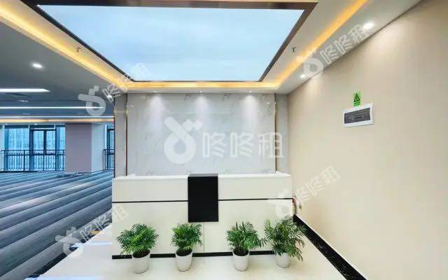 比克科技大厦_246平_精装_前台