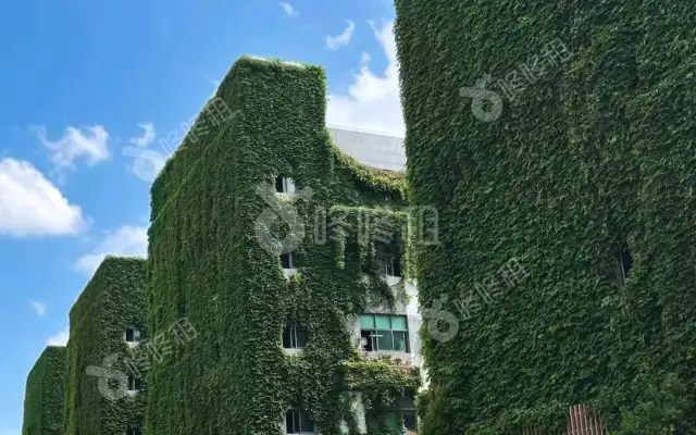 航城信息港_2135平_精装_办公室房源出租