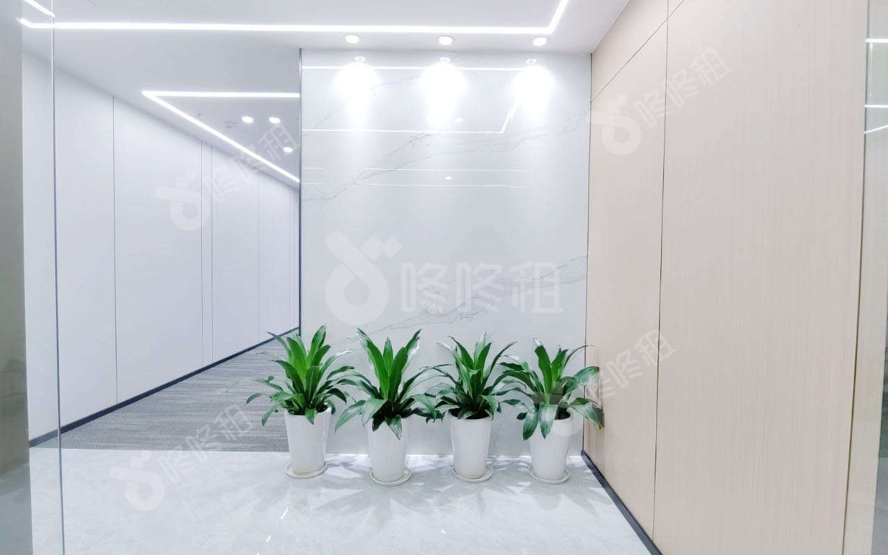 金运世纪大厦_123平_精装_前台