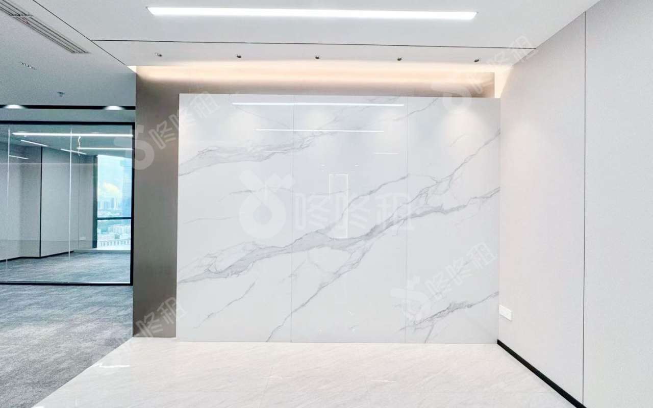 光峰科技大厦_399平_精装_前台