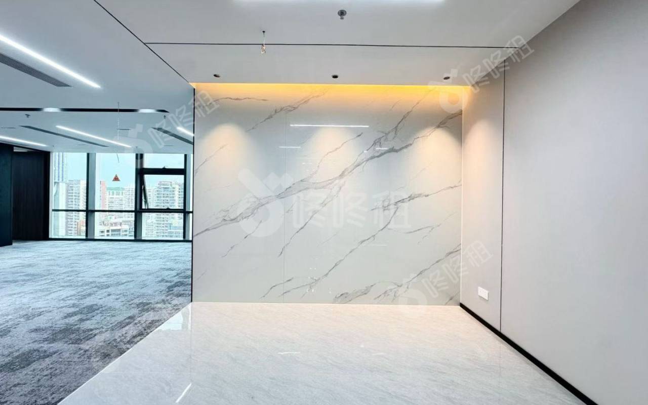 光峰科技大厦_250平_精装_前台