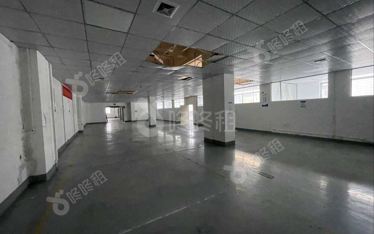 胜立工业园_894平_精装_办公室开间