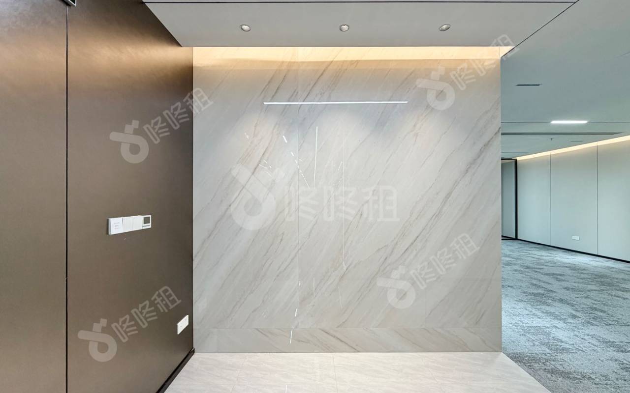 光峰科技大厦_251平_精装_前台