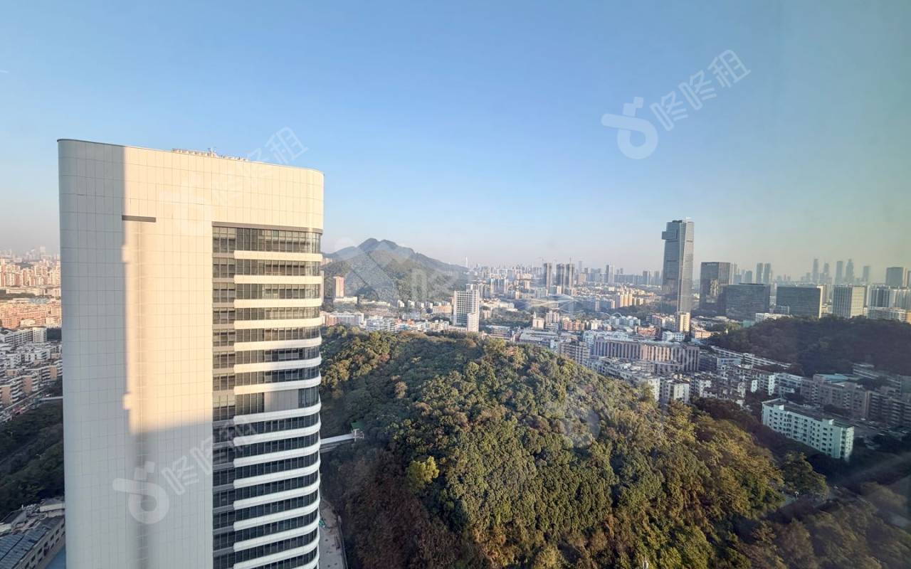 光峰科技大厦_251平_精装_其他