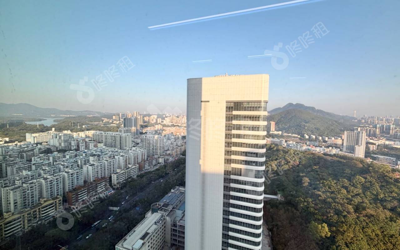 光峰科技大厦_251平_精装_其他