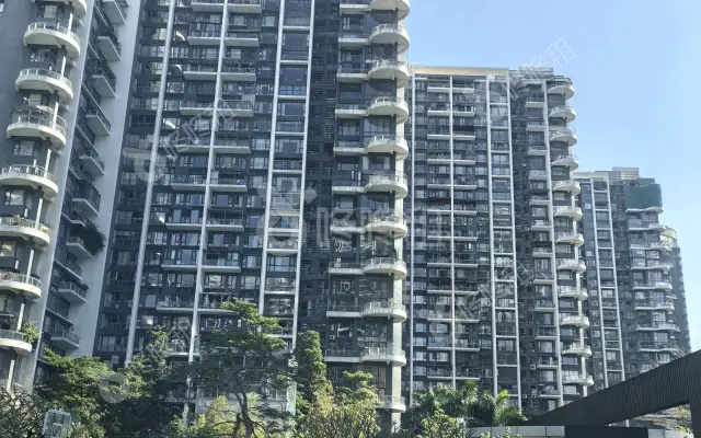 中信红树湾(普金国际会馆)_出租/租金_楼盘外观图
