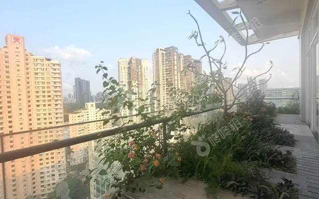 创新科技广场一期_360平_精装_办公室房源出租