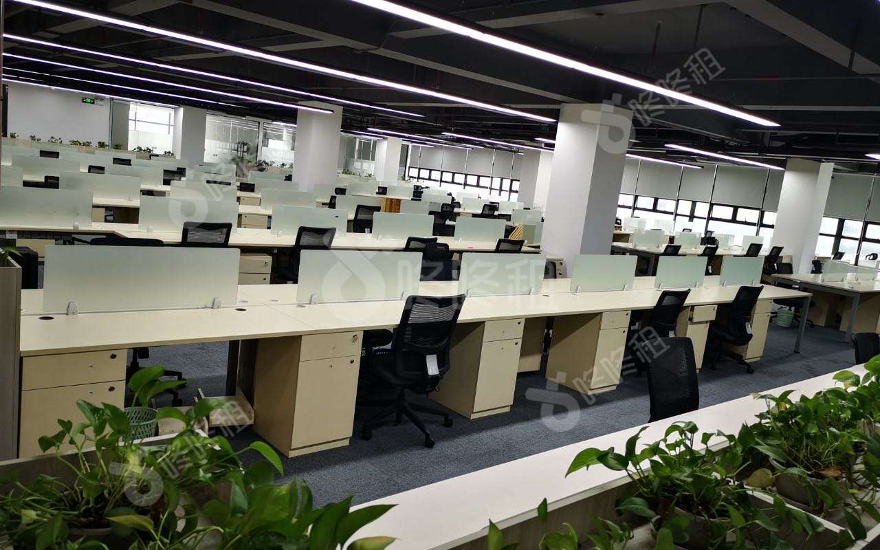 深圳软件园_1084.97平_豪装_办公室开间