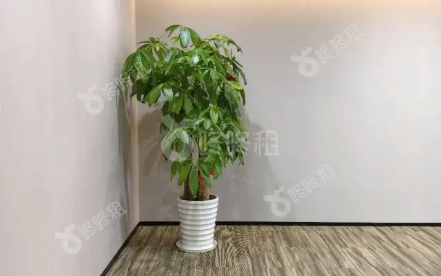 前海君豪中心(招商前海国际中心)_145平_精装_办公室房源出租