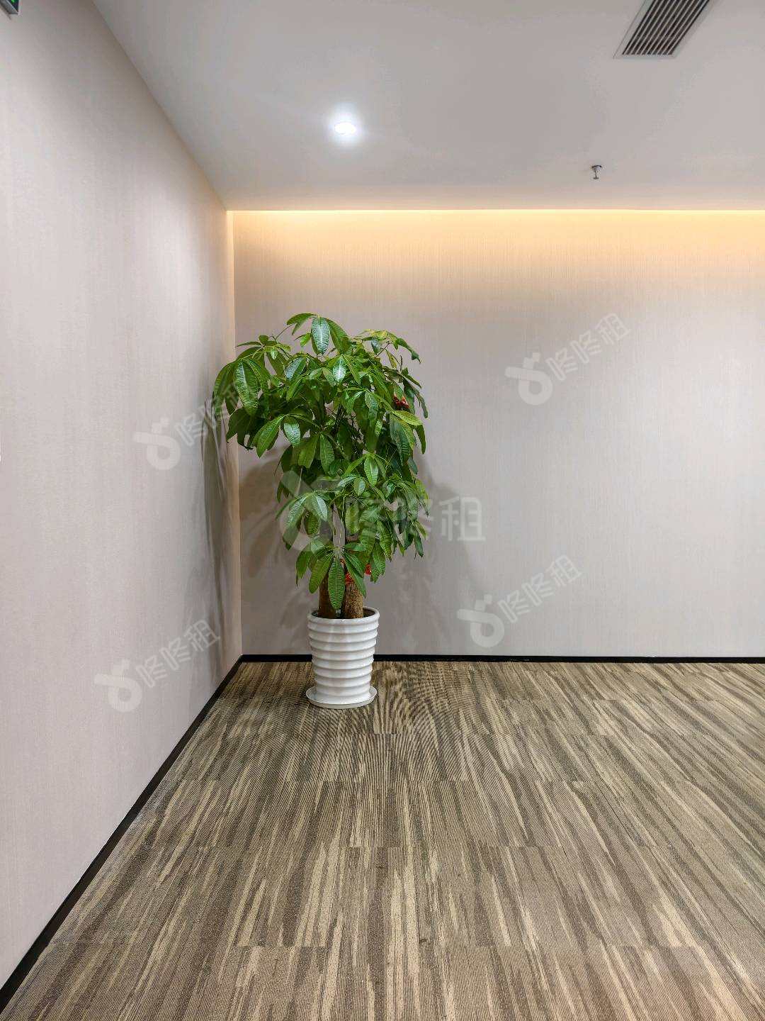 前海君豪中心(招商前海国际中心)_145.69平_精装_前台