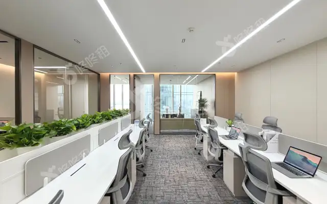 中洲湾 C FutureCity_210平_豪装_办公室房源出租