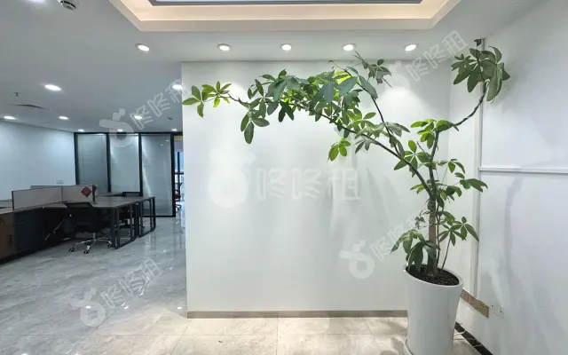 深圳湾科技生态园_200平_精装_办公室房源出租