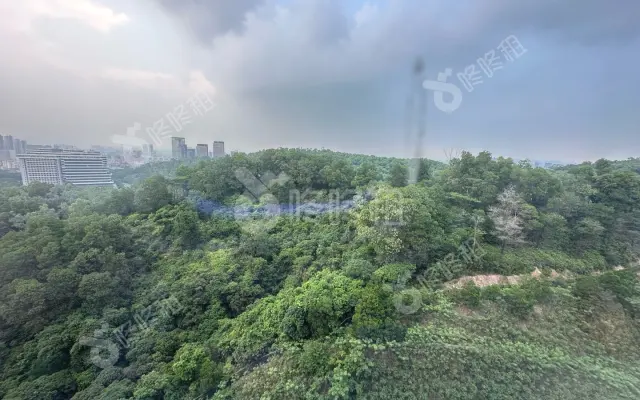 鸿荣源·鸿湖科技园_23000平_简装_办公室房源出租