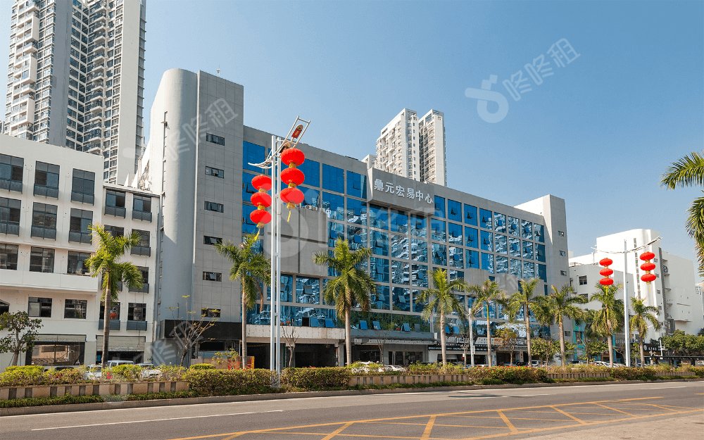 东南工贸大厦（鼎元宏易中心）_楼盘外观图