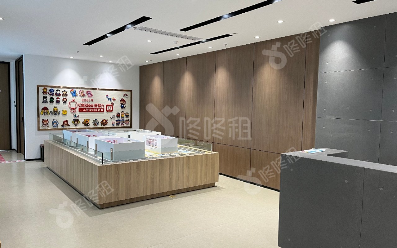 宝星智荟城_1380平_豪装_未分类