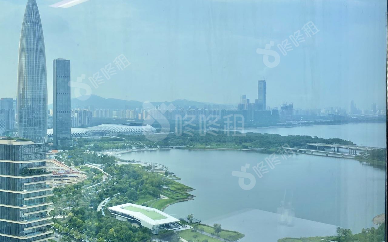 深圳湾一号_258平_精装_其他