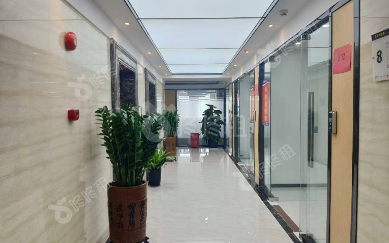 兆龙大厦_604平_精装_未分类
