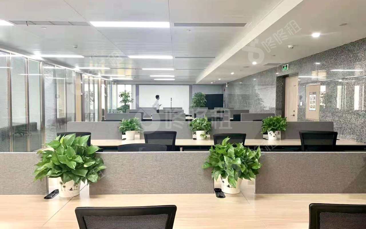 中信大厦_539.53平_精装_未分类