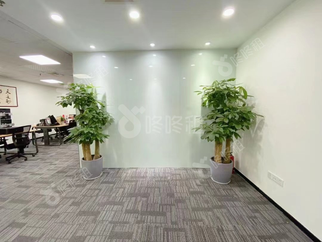 金骐智谷大厦_253平_精装_前台