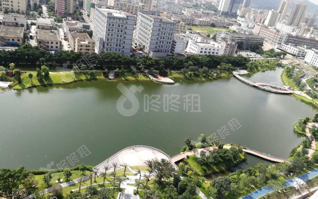 高盛大厦_205平_精装_未分类