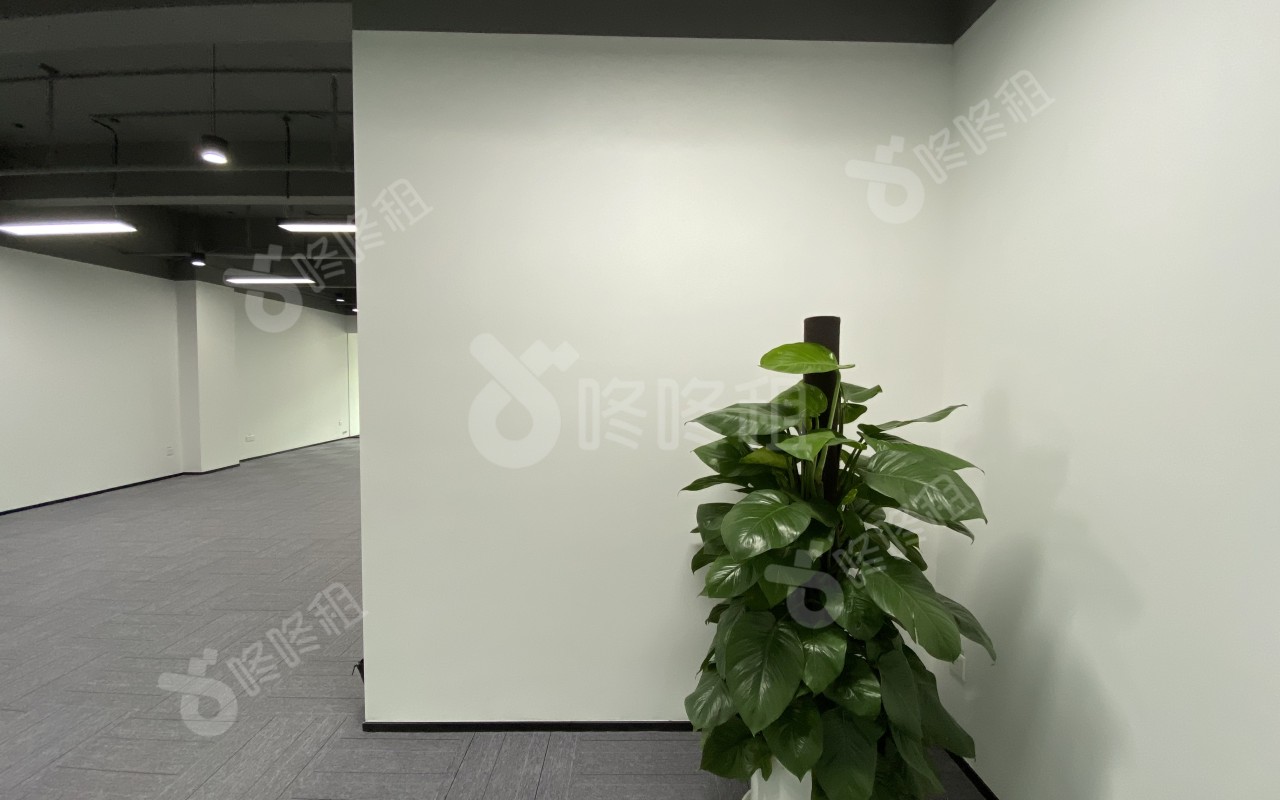 明亮科技园_232平_豪装_未分类