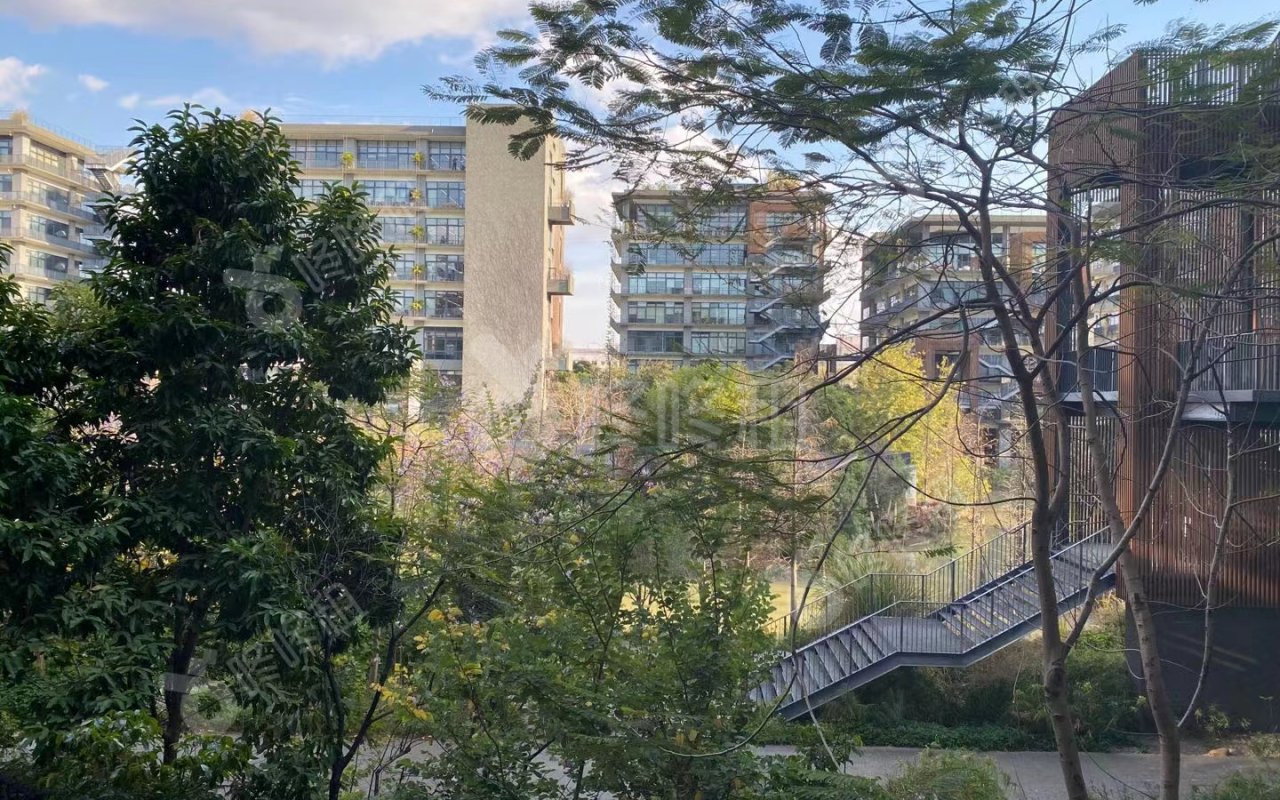 梧桐岛_811.23平_精装_未分类