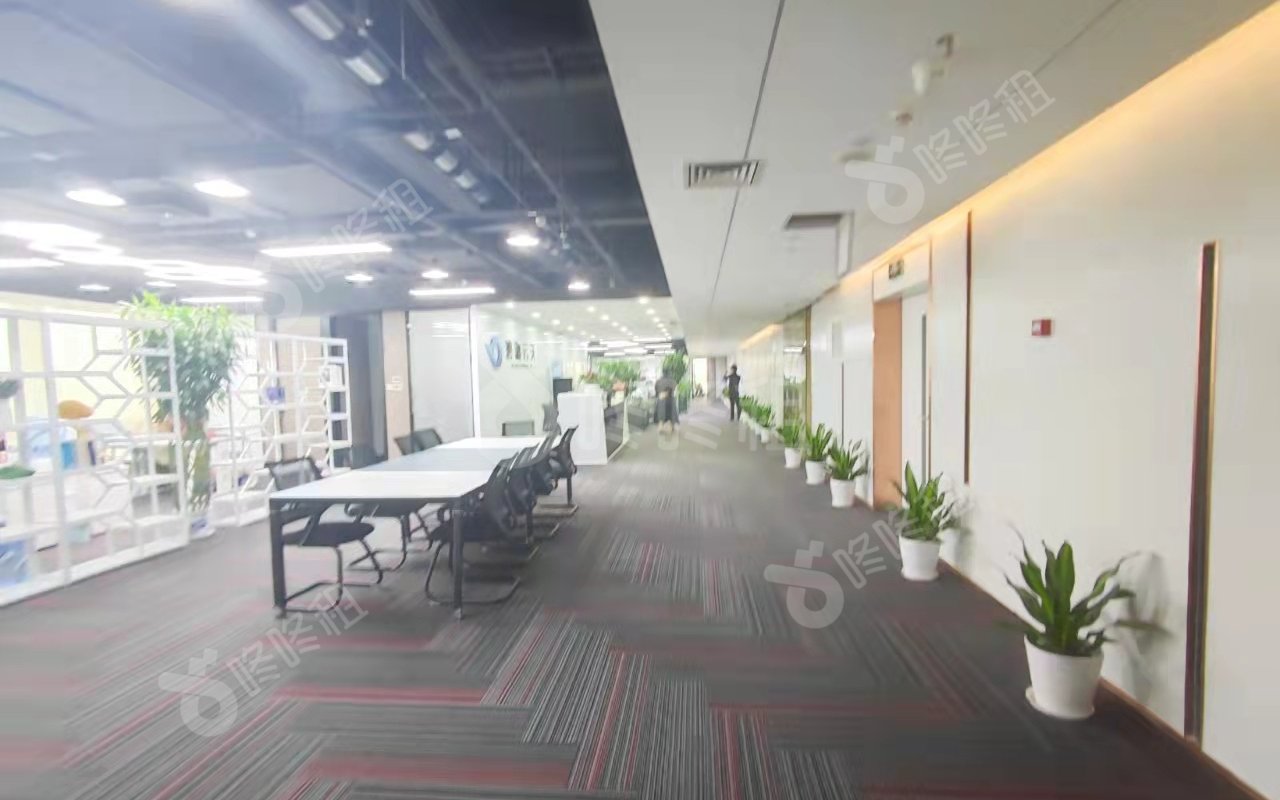 波顿大厦_1250平_毛坯_未分类