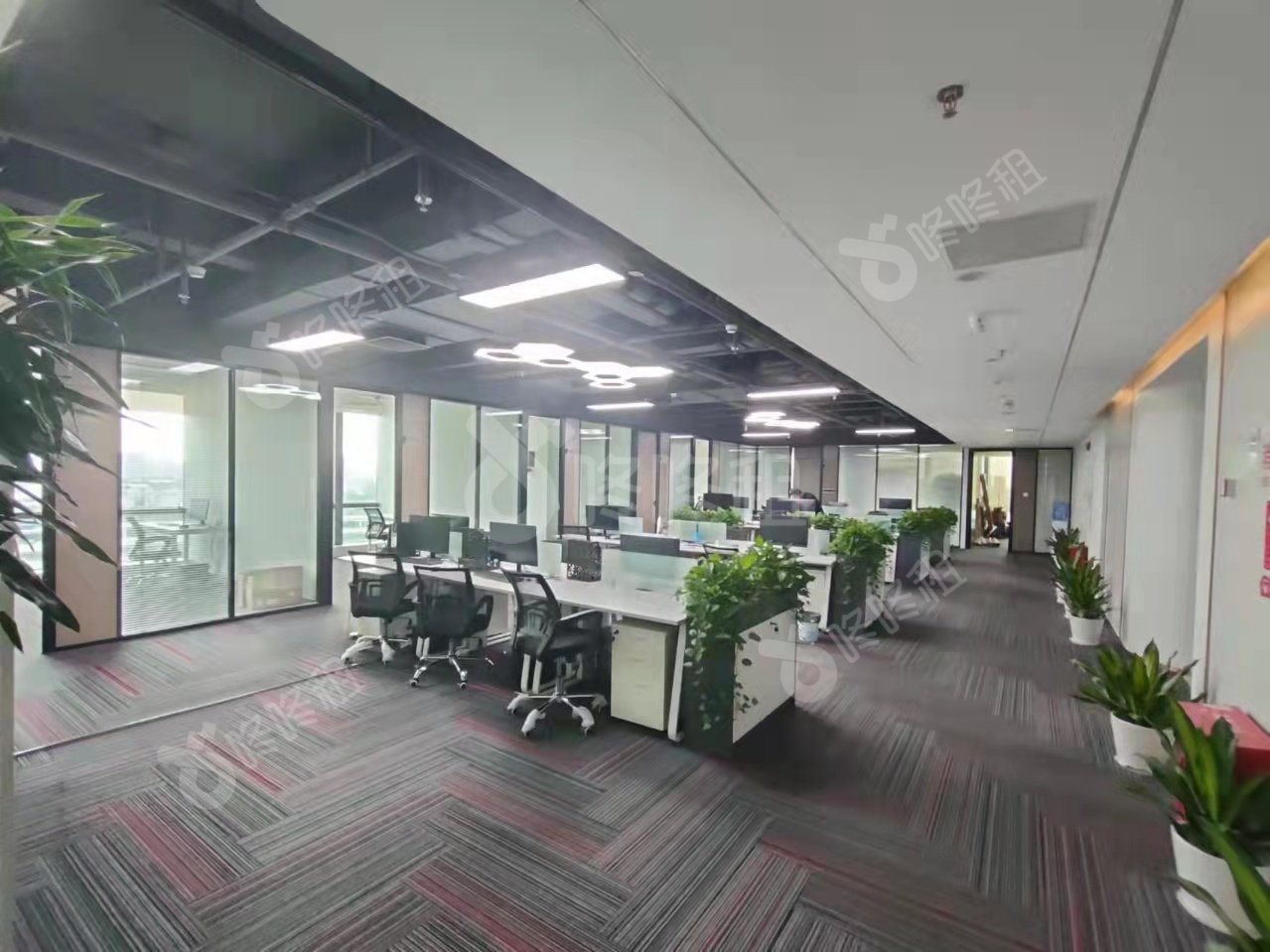 波顿大厦_1250平_毛坯_未分类