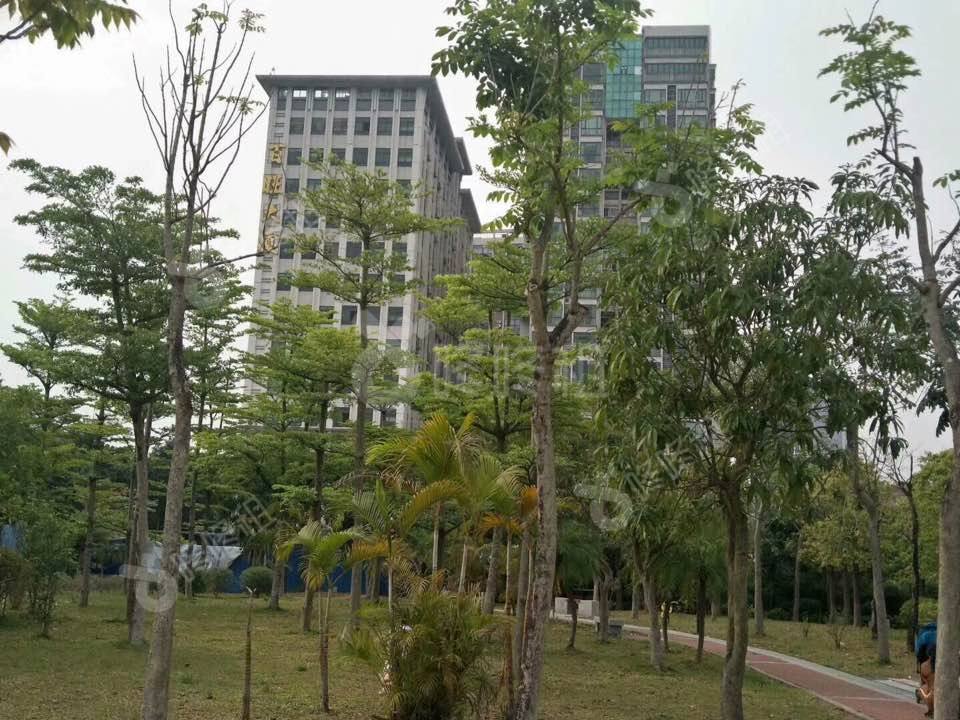 百旺研发大厦_333平_精装_未分类