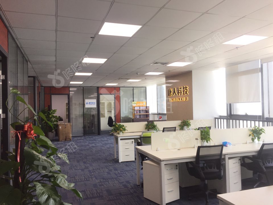 南园枫叶大厦_372平_精装_未分类