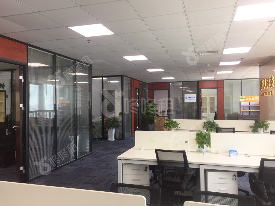 南园枫叶大厦_372平_精装_未分类